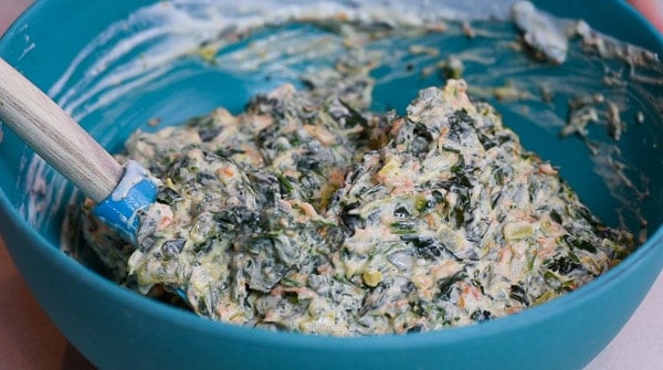 mixed together spinach dip
