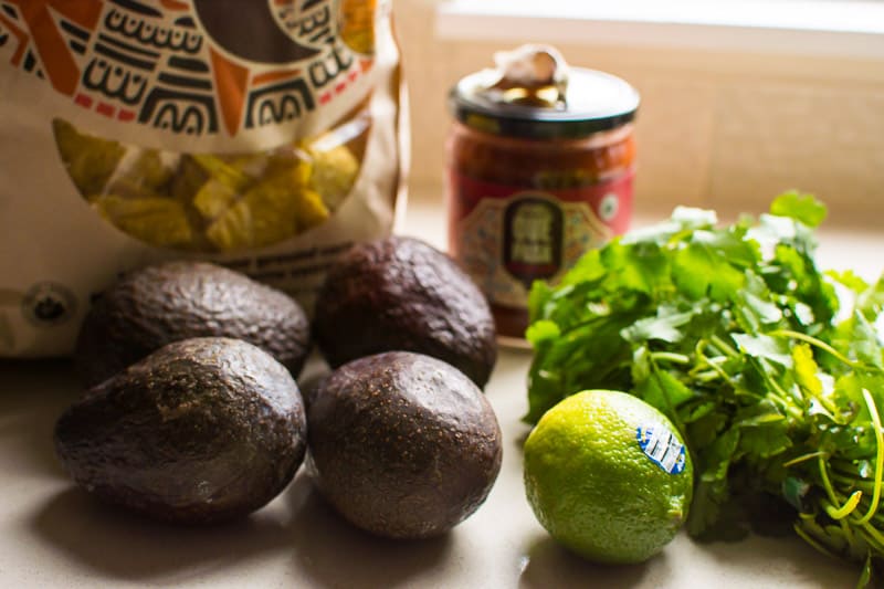 Avocado, jarred salsa, garlic, lime, chips and cilantro.