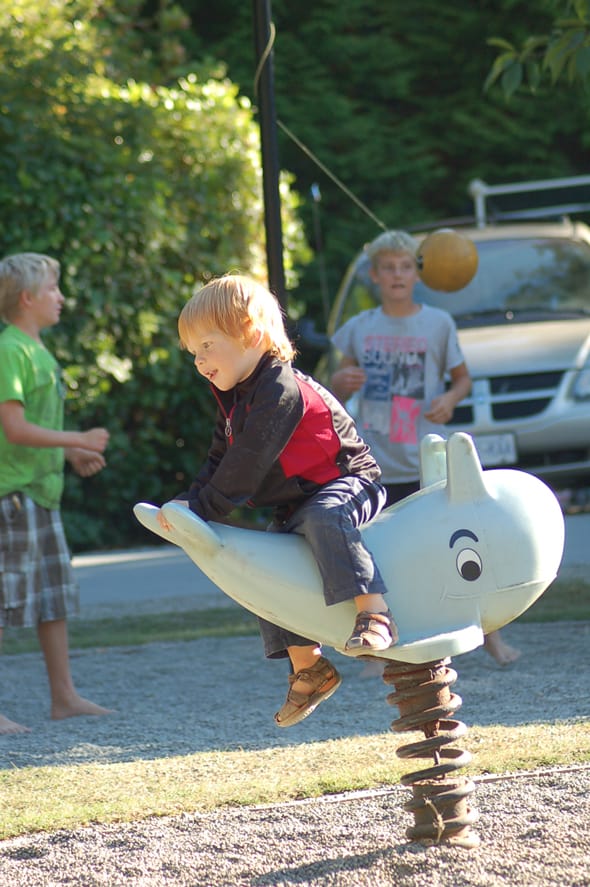 Whale Watching & Petting in Tofino, BC