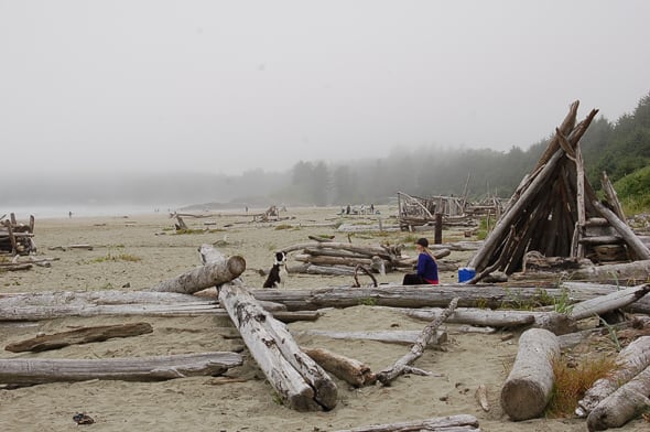 Whale Watching & Petting in Tofino, BC