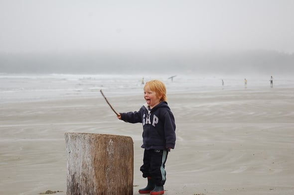 Whale Watching & Petting in Tofino, BC