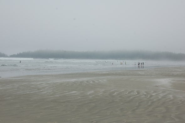 Whale Watching & Petting in Tofino, BC