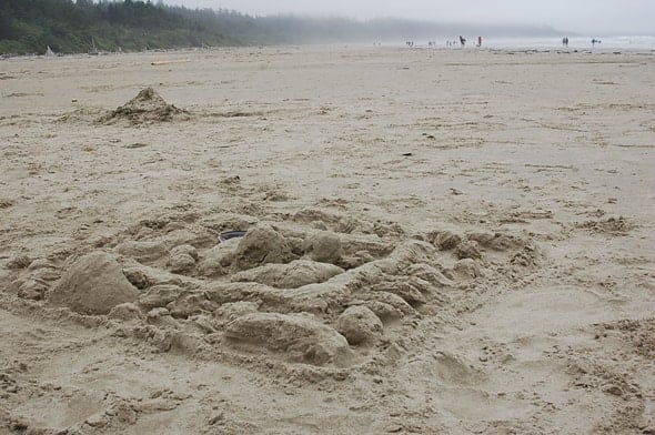 Whale Watching & Petting in Tofino, BC