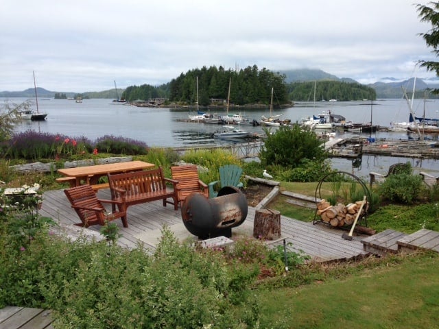 Whale Watching & Petting in Tofino, BC