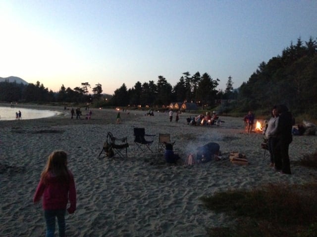 Whale Watching & Petting in Tofino, BC