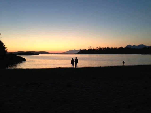 Whale Watching & Petting in Tofino, BC