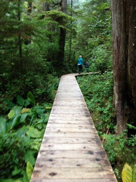 Whale Watching & Petting in Tofino, BC