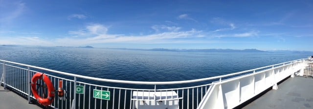 Whale Watching & Petting in Tofino, BC