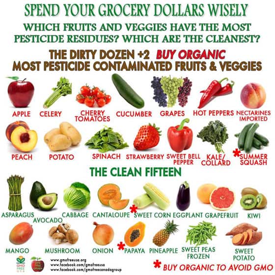 Organic on a Budget - 120 Cheap Organic Foods