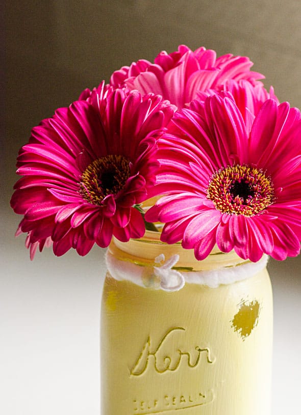 Vaso giallo con fiori di Gerbera rosa brillante