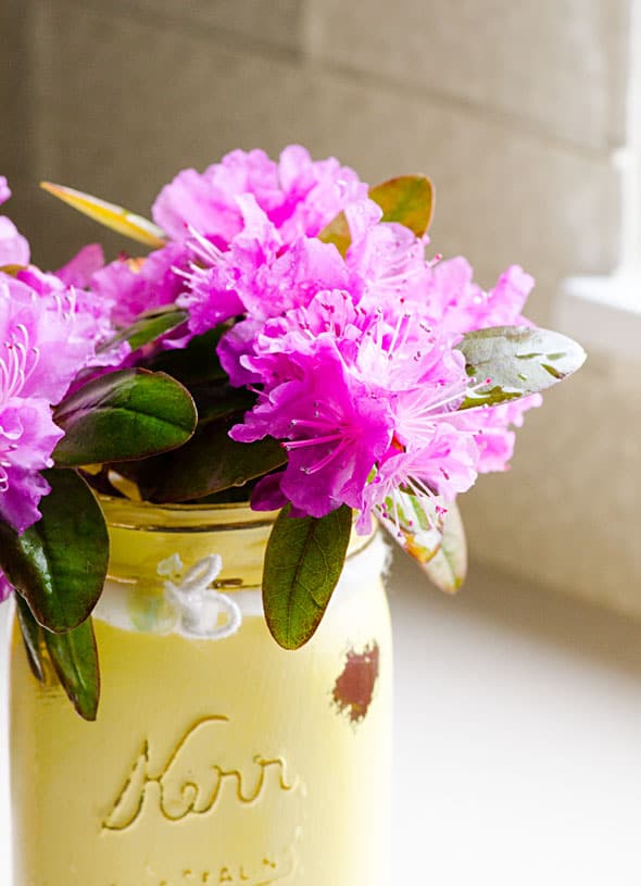 vase of purple flowers