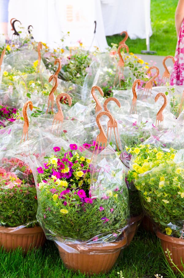 17 Farmers Market Must Buys in June