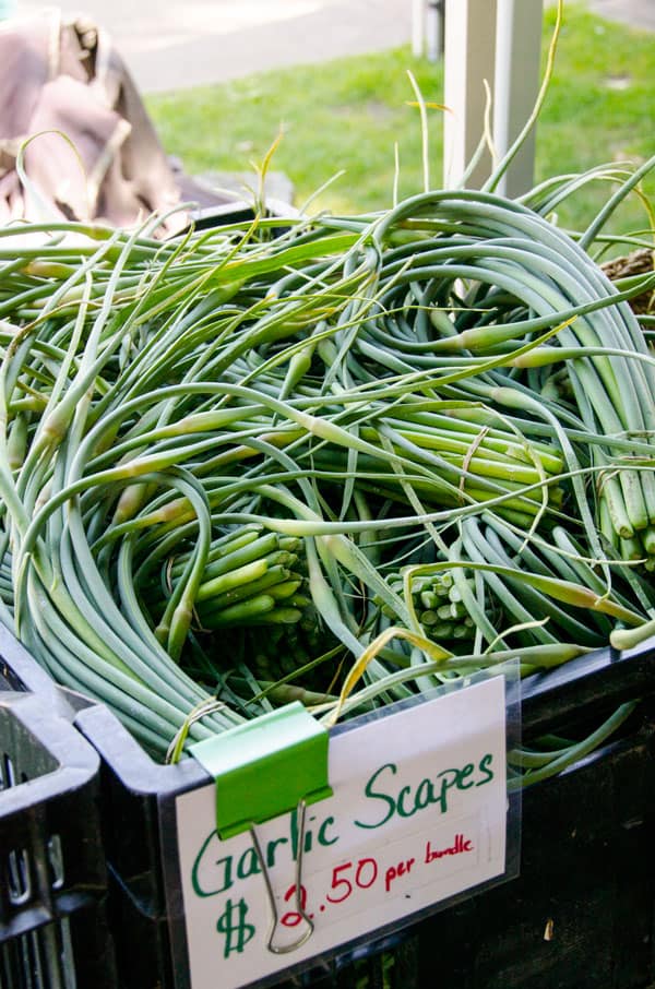 17 Farmers Market Must Buys in June