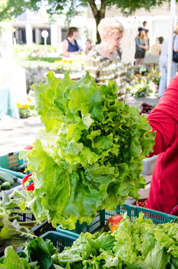 17 Farmers Market Must Buys in June