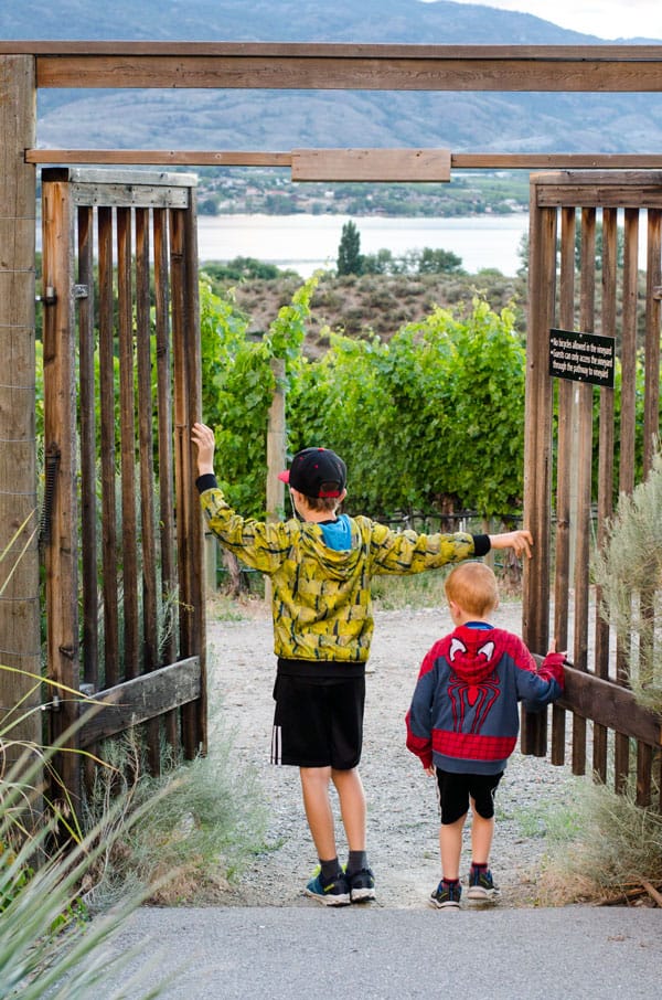 10 Ways to Relax with Kids in Osoyoos