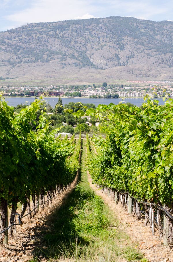 10 Ways to Relax with Kids in Osoyoos