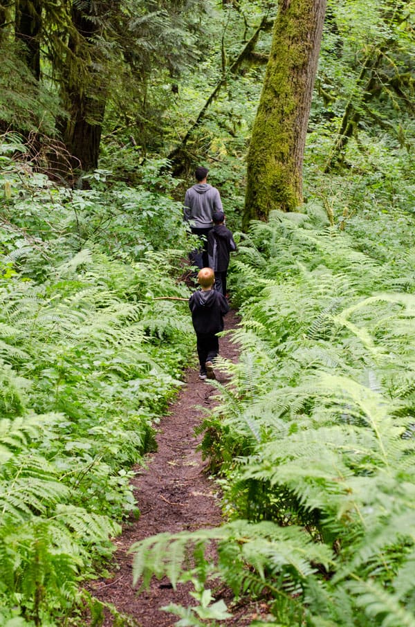 Digital Detox at Mount Baker