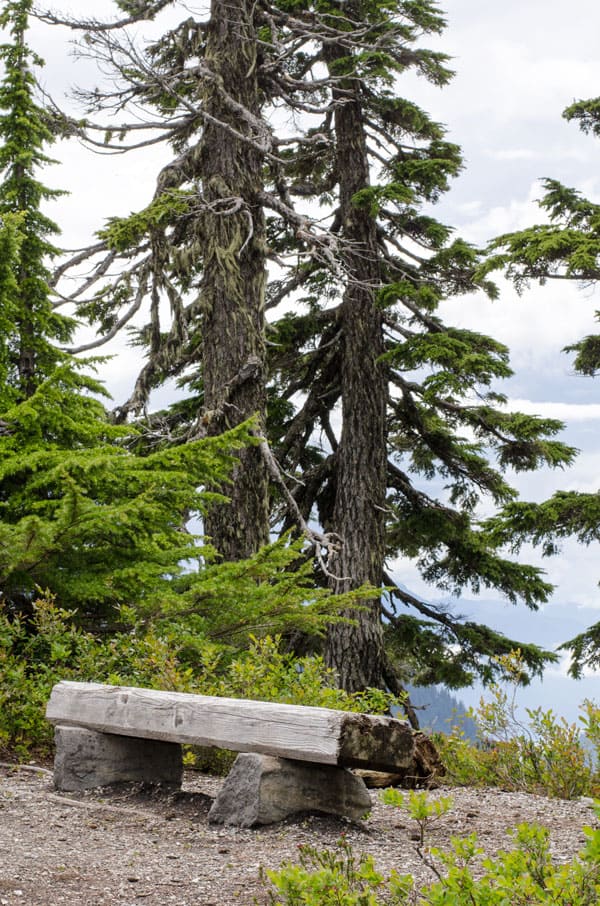 Hiking Artist Point at Mount Baker