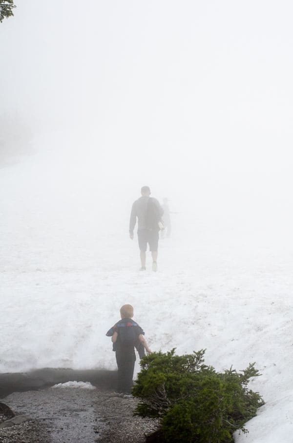 Hiking Artist Point at Mount Baker