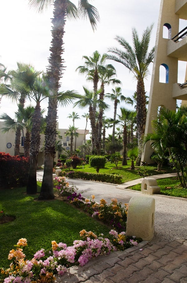 Our Condo in Cabo