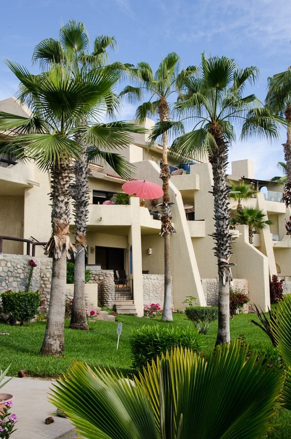 Our Condo in Cabo