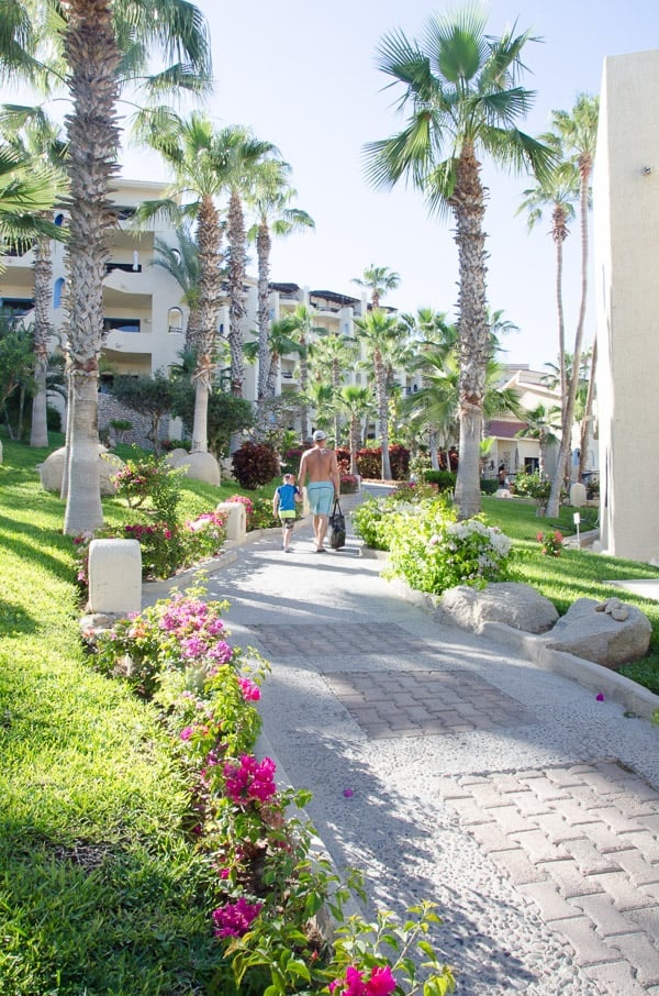 Our Condo in Cabo