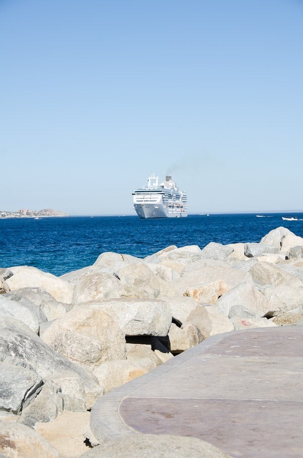 A large body of water and cruise ship. 