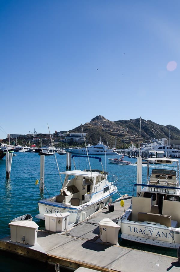 Exploring Cabo and Eating Tacos