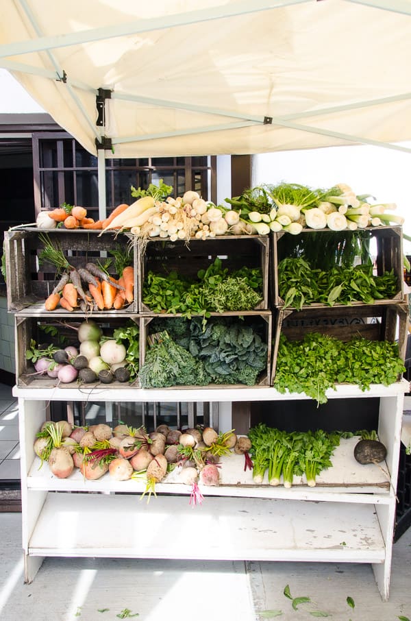 Shopping at Farmers Market in Cabo San Lucas