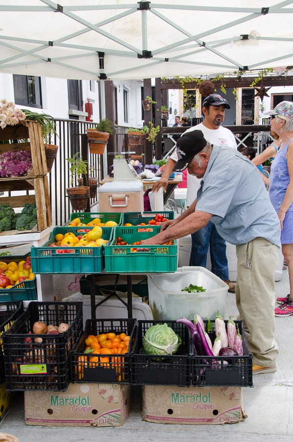 Shopping at Farmers Market in Cabo San Lucas