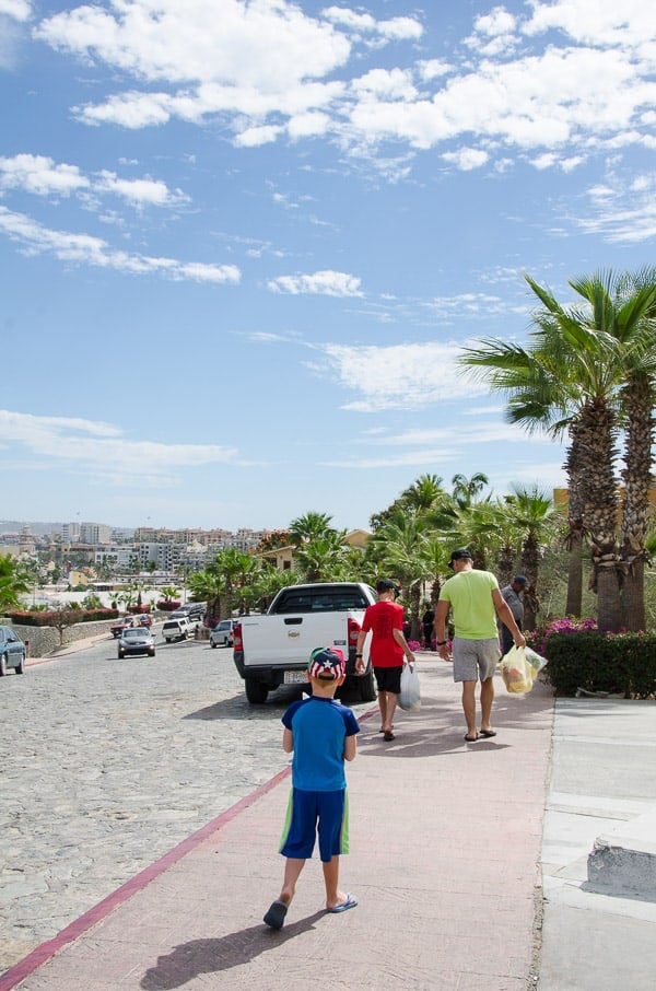 Shopping at Farmers Market in Cabo San Lucas