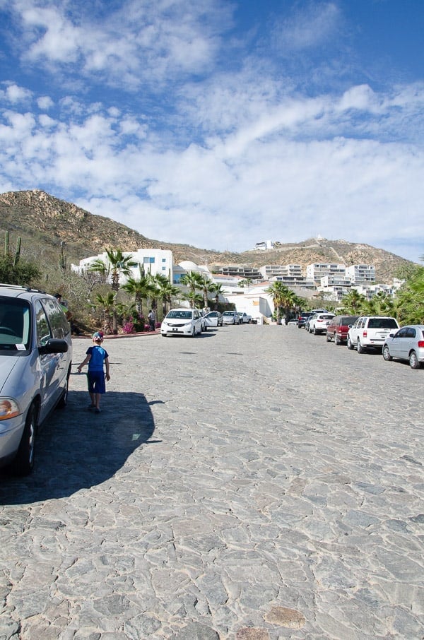 Shopping at Farmers Market in Cabo San Lucas