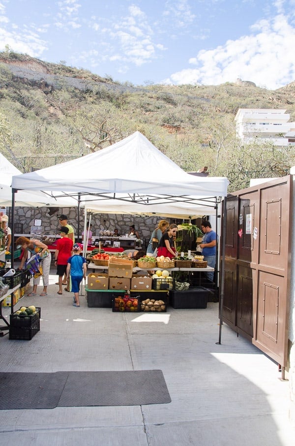 Shopping at Farmers Market in Cabo San Lucas