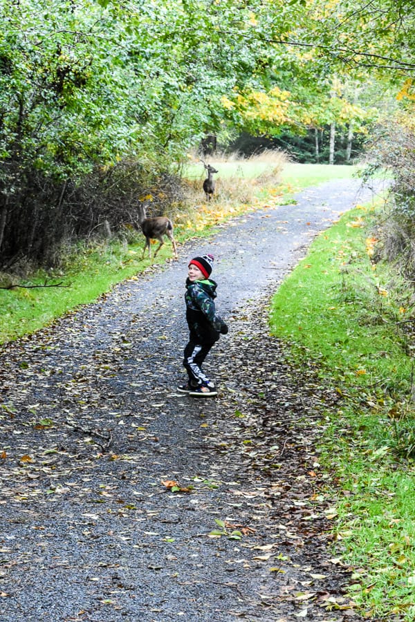 San Juan Island in October