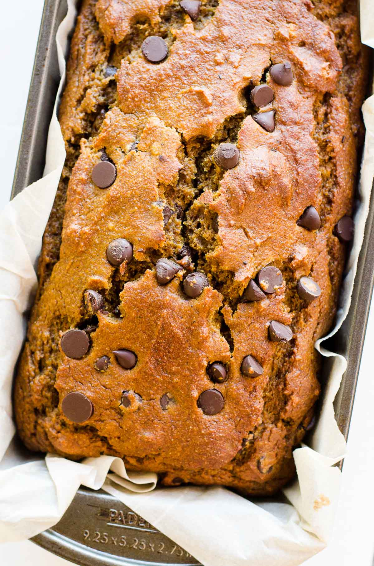 Healthy pumpkin chocolate chip bread in parchment lined loaf pan.