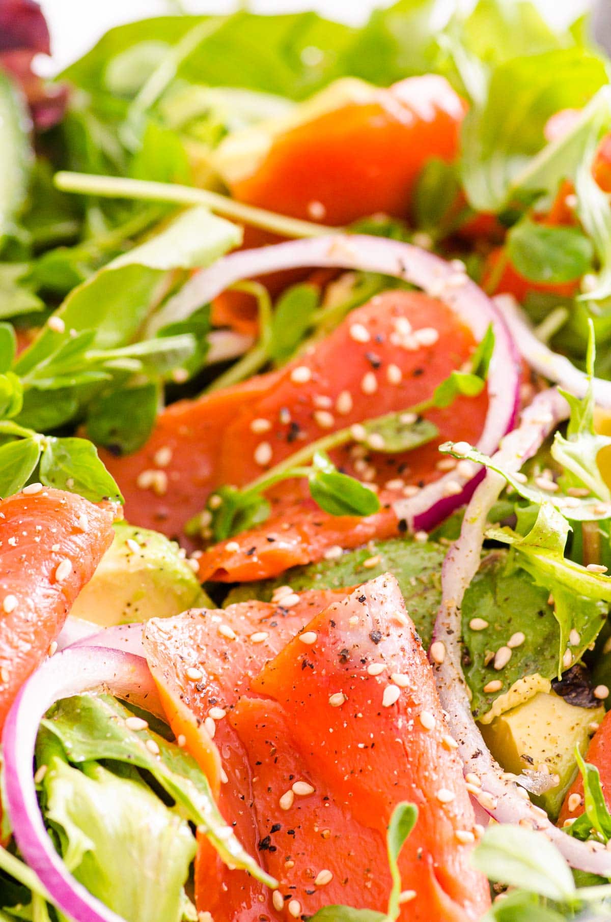 Closeup of smoked salmon salad with red onion, greens, avocado and sesame seeds.