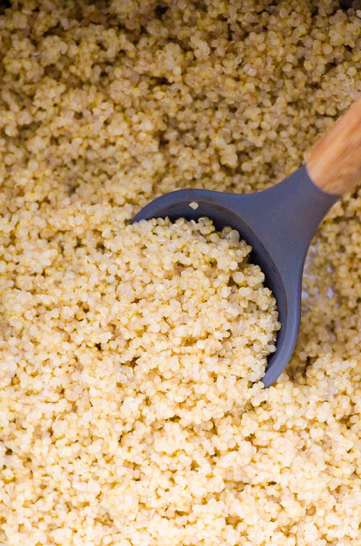 Instant pot quinoa with a serving spoon.