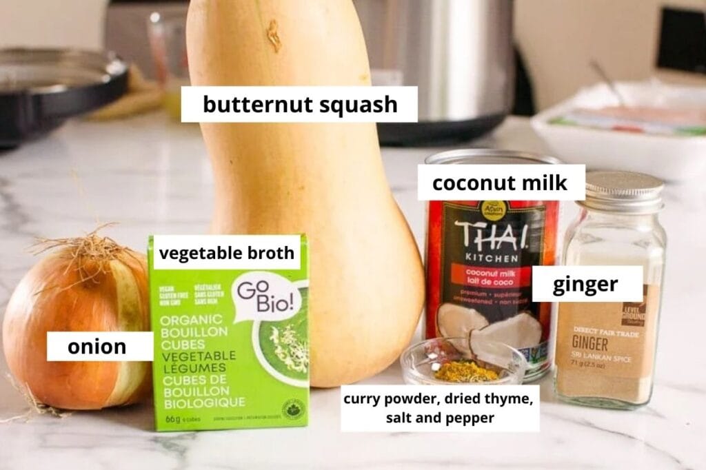 ingredients onion broth spices coconut milk butternut squash