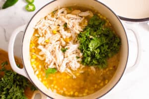 Healthy White Chicken Chili