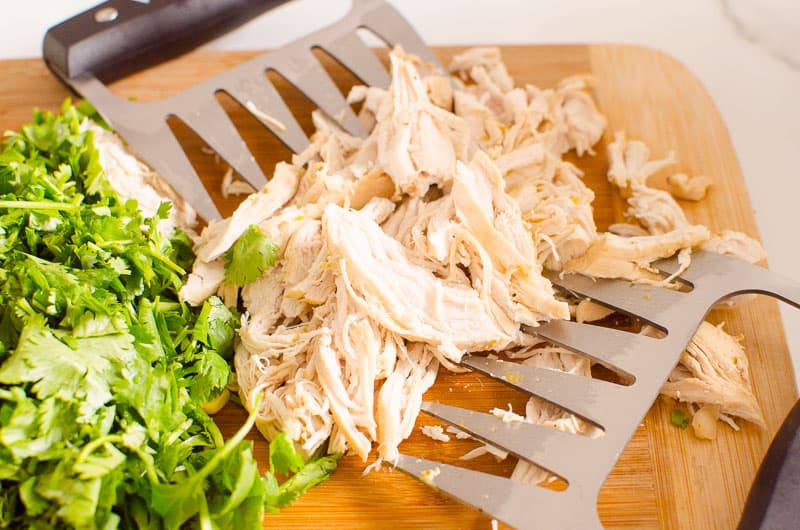 Shredding chicken with meat claws on a cutting board with cilantro. 