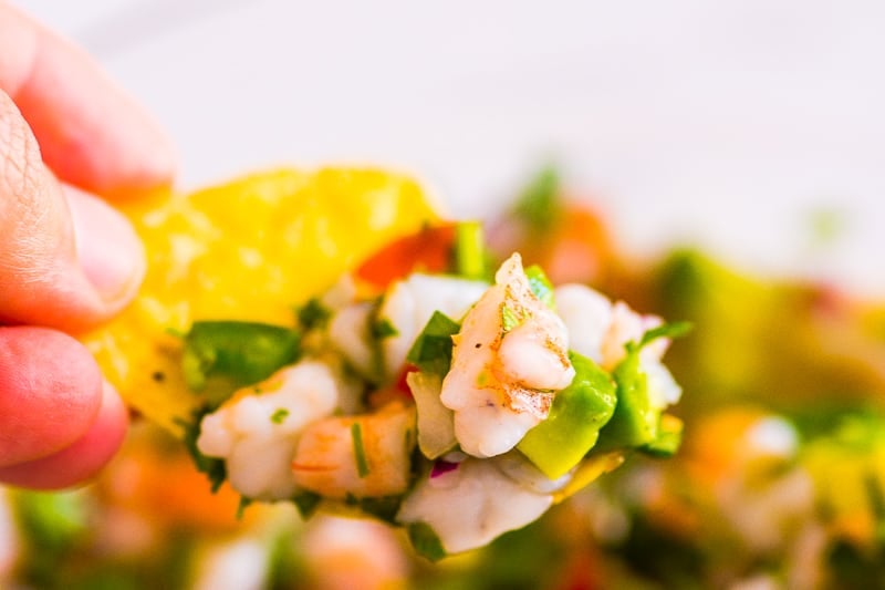 Shrimp ceviche scooped with tortilla chip.