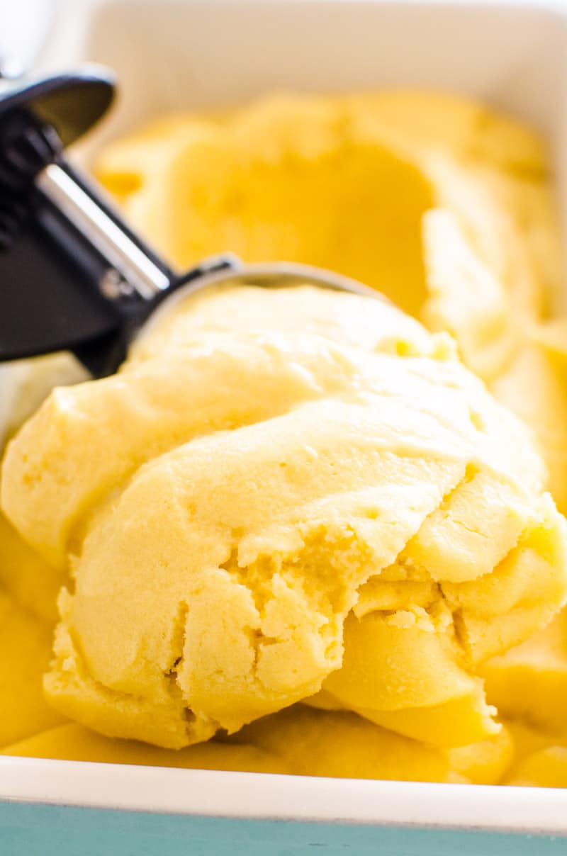 Coconut mango ice cream scooped with an ice cream scoop.
