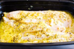 Grilled Chicken Breast