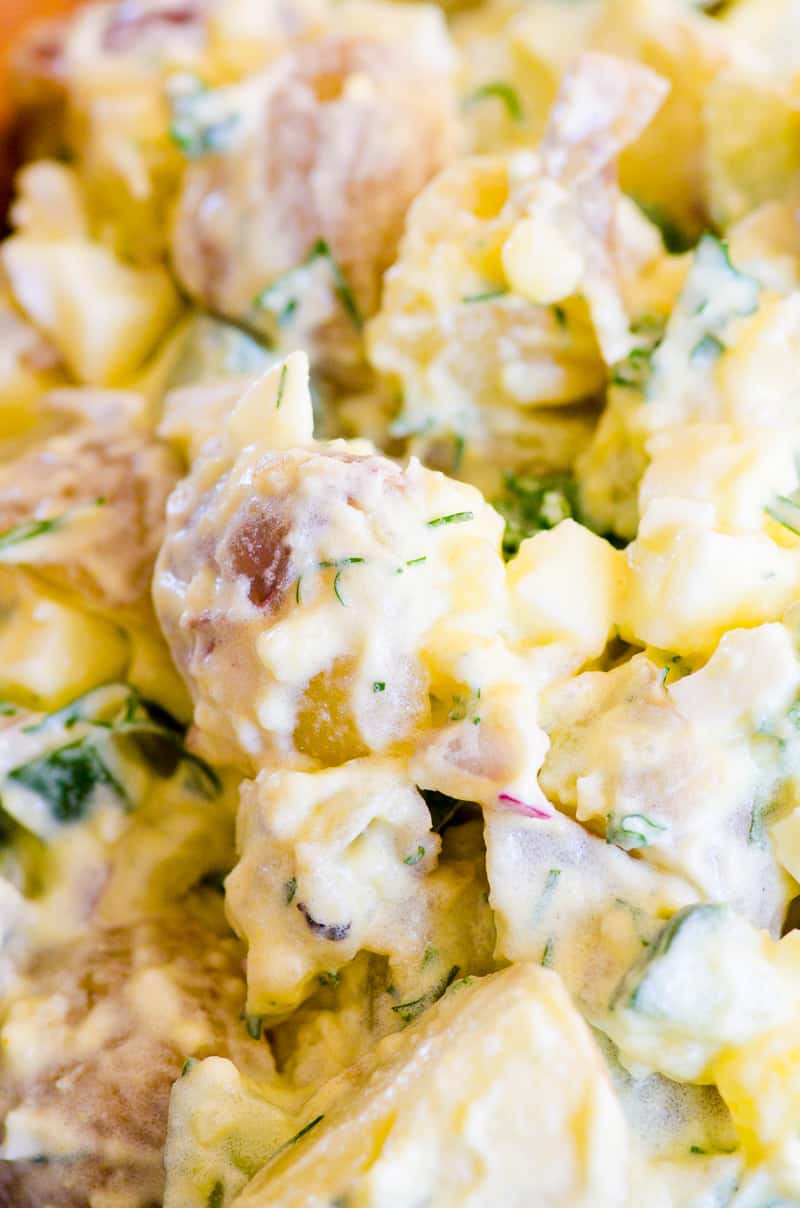 Closeup of healthy potato salad in creamy dressing with yogurt and fresh dill.