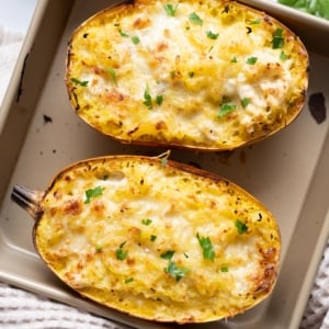 Chicken alfredo spaghetti squash halves garnished with parsley on a baking sheet.