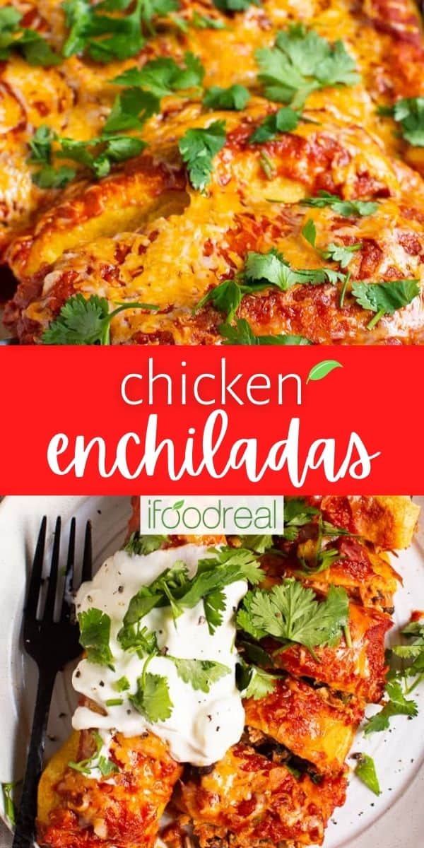 Healthy Chicken Enchiladas - iFoodReal.com