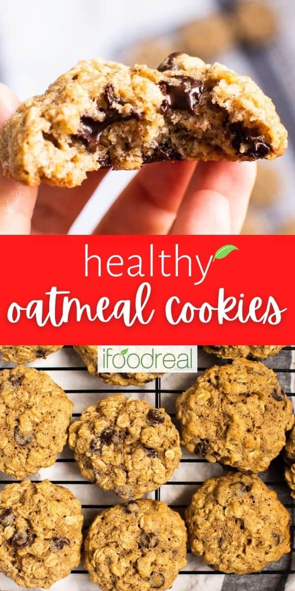 healthy-oatmeal-cookies-with-chocolate-chips-ifoodreal