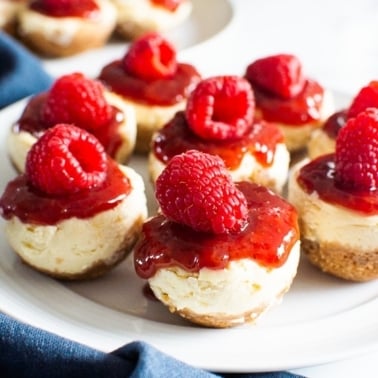 instant pot cheesecake bites on white plate