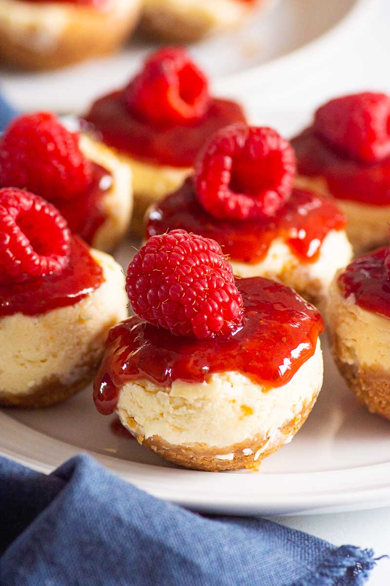 Instant Pot Mini Cheesecake Bites - Fab Everyday