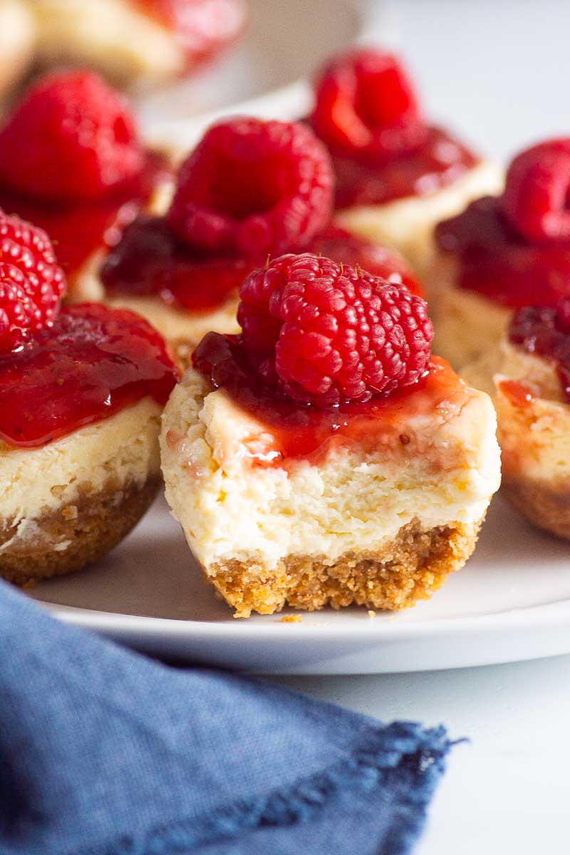 instant pot cheesecake bites closeup on white plate